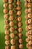 Picture of Rudraksha Seed Mala - 108 Beads 6.5mm