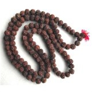 Picture of Large Rudraksha Japa Mala 18-20 mm Prayer Beads