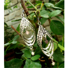 Picture of Ethnics Fashionable Earring ER10