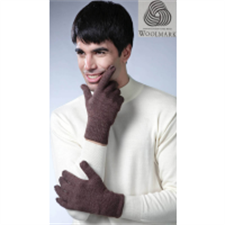 Picture of Pure Wool Hand Gloves Plain Pack of 2 assorted Colors  Pair