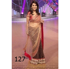 Picture of Madhuri Dixit with Maroon And Golden Net sari BWR127