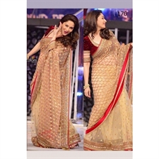 Picture of Madhuri Dixit on jhalak dikhla jaa set in Beautiful Saree BWR170